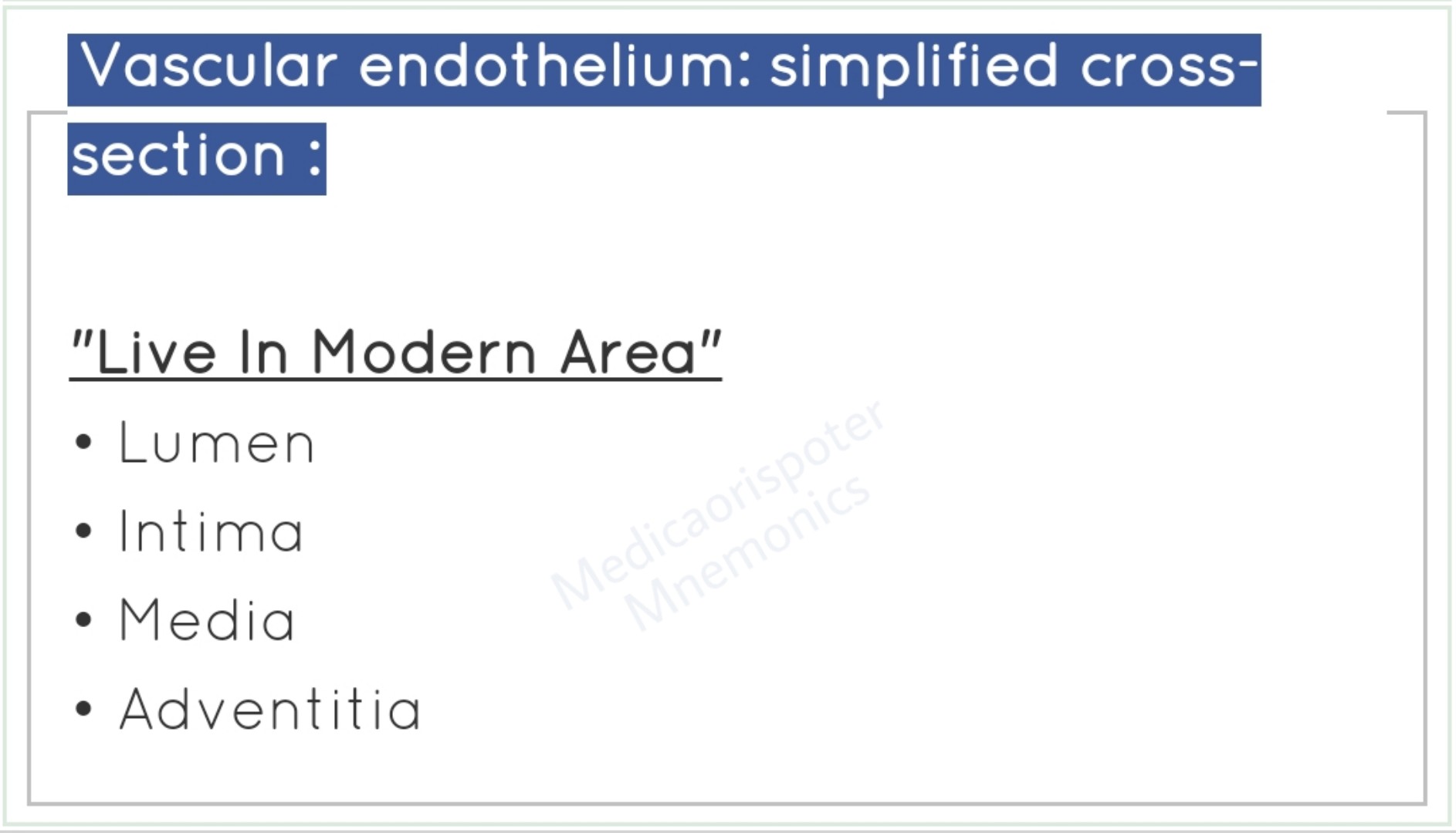 preview of Crossed Section of Vascular Endothelium.jpg